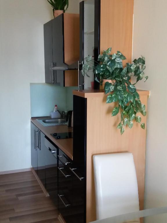 Apartmán McVitek room 1